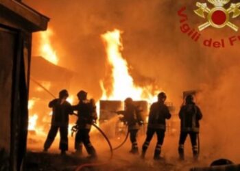 Centinaia di animali salvati dai Vigili del Fuoco. Fiamme divampate in un’azienda agricola!
