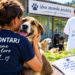 Canile di Piane di Larino: confermate le misure adottate dall’Asrem per fronteggiare i casi di leishmaniosi.
