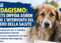Molise, randagismo: il CIA ETS diffida Asrem e chiede l’intervento del Ministero della Salute