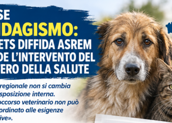 Molise, randagismo: il CIA ETS diffida Asrem e chiede l’intervento del Ministero della Salute