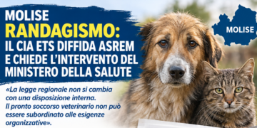 Molise, randagismo: il CIA ETS diffida Asrem e chiede l’intervento del Ministero della Salute