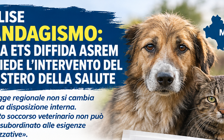 Molise, randagismo: il CIA ETS diffida Asrem e chiede l’intervento del Ministero della Salute