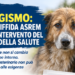 Molise, randagismo: il CIA ETS diffida Asrem e chiede l’intervento del Ministero della Salute