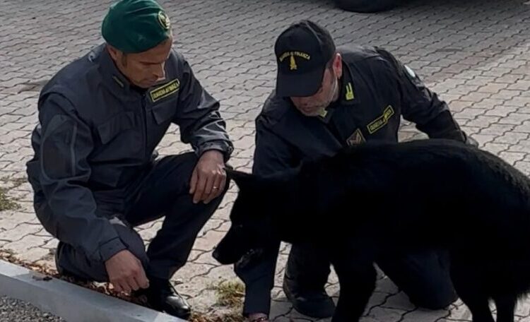 La Guardia di Finanza denuncia un giovane trovato con 125 grammi di hashish e denaro contante