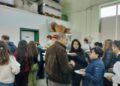 Larino celebrata la 10ª Giornata Nazionale “Camminata tra gli Olivi”: un grande successo tra natura, salute e tradizioni
